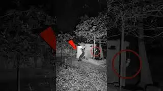 #ghost