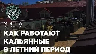 Как работают кальянные в летний период. Мята Lounge