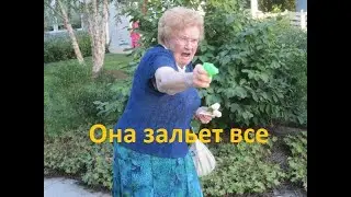 Бабка соседка снова пакостит. Залила все отравой