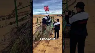 Китайцы превратили ПУСТЫНЮ Кыргызстана В ОАЗИС🤫🔥🇰🇬