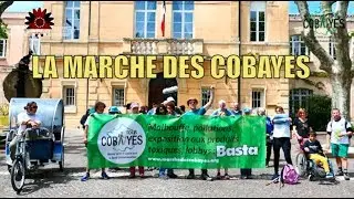 La Marche des Cobayes / The Guinea Pigs Walk - 17