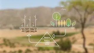 Land Degradation Neutrality. Why it matters, how it's done.