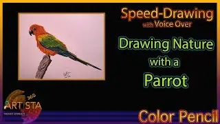 How to Draw A Parrot Speed Drawing with Voice Over | Nature with Colored Pencil
