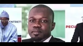 OUSMANE SONKO: Cheikh Bara NDIAYE témoigne.