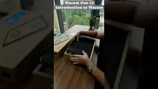 Wacom One 13