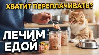 DIY Therapeutic Cat Food: Recipes for FLUTD, Obesity, and Sensitive Digestion