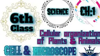 Class:6,Subject:Science, CH:1 Cellular organization of plants & Animals, Topic: Cell & Microscope