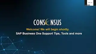 SAP Business One Support Webinar | Consensus International