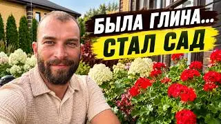 From an Empty Lot to a Blooming Garden in 2 Years. An Honest Review of August 2026