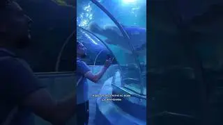 Сюда мы точно вернёмся😍 Один из лучших парков в мире