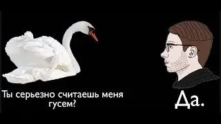 Стрим в воскресенье с Алексеем Шевцовым