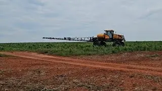 TIVEMOS QUE DISSECAR O RESTANTE DA ÁREA POR QUE NÃO CHOVEU MAIS...