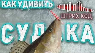 PIKE-PERCH IS ANNOYED BY THIS COLORING. FISHING FOR PIKE-PERCH WITH RATLINS