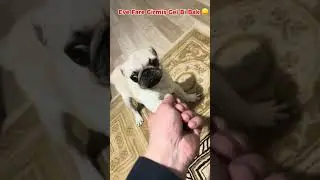 Prensesim güzel kızım 1 yaşında 🎈🎂♥️ 