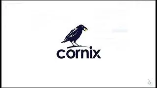 How to Use Cornix's Signals Bots (Auto-Trading) Leverage Selector