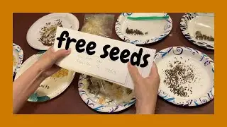 FREE seeds/ seed collecting for 2022