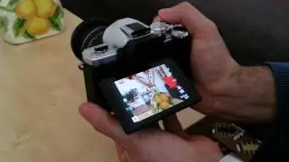 Olympus 9-18mm Autofocus Test Daylight