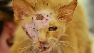 He was not given a single chance to escape. But a miracle really happened!