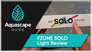 AquascapeGuide - Testing out the new Fzone SOLO aquarium light