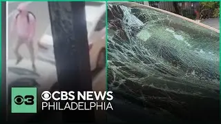 Philadelphia police search for man seen stomping on car windshields, and more top stories