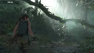 Shadow of the Tomb Raider v1 0 build 292 0 64 2019 05 09 03 22 09