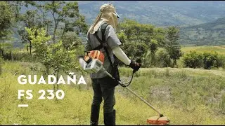 Guadaña FS 230 | STIHL