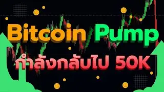 Bitcoin กำลังจะเด้งกลับไปที่ 50,000 เร็วๆนี้ l ทิศทางบิทคอยน์ 10 ก.ย 2021