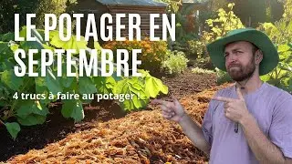 4 TRUCS À FAIRE AU POTAGER EN SEPTEMBRE