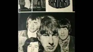 Got To Hurry-Yardbirds