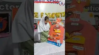 digestive system Oxford Grammar school Shahdara town campus