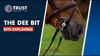 #10 THE DEE BIT
