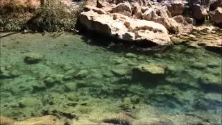 Río Ayutla | Querétaro