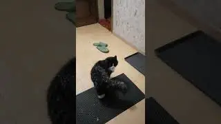 с добрым снежным утром