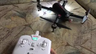 Bugs 3 брак