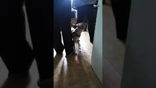 9 мая 2020 г.