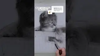 👉🏼 learning to paint on cats 🐈‍⬛