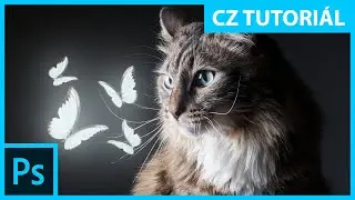 Jak se rychle naučit fotomanipulace, úpravy a efekty – Adobe Photoshop cz
