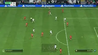 Bernardo