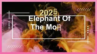 Elephant Of The Month March 2025