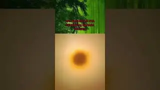 Ada apa ini
