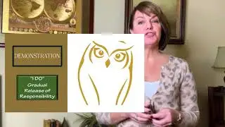 OWL_2020 0202