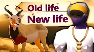 OSRS / Watching YT Videos Hunter things