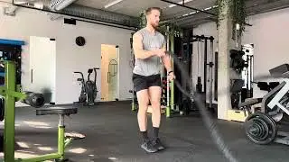 Battle Rope Single Swings + Reverse Lunge