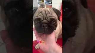Мой любимый красавчик ❤️🩷.