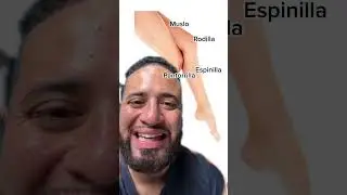 Parts Of The Leg In Spanish 🦵