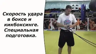 Скорость удара в боксе и кикбоксинге. Специальная подготовка.