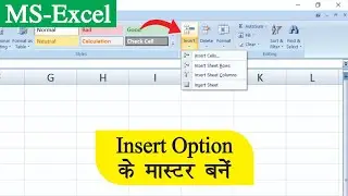 How To Use Insert Option in Excel? | एक्सेल पर🔥 Insert Option के Master बने