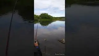 Рыбалка на Сазанчика 🎣