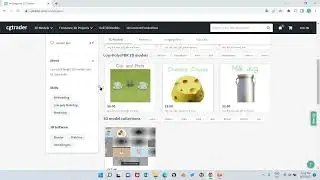 Evelyn's 3D Shop CGtrader