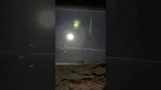 bhains ke liye machhardani kyo lgaye dekh lo